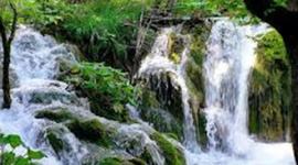 Timeline: Ingenieria Ambiental