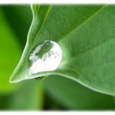 Timeline: SEMANAS DE EXAMENES PARCIALES EN LA UNIVERSIDAD DE BOYACÁ