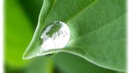 Timeline: SEMANAS DE EXAMENES PARCIALES EN LA UNIVERSIDAD DE BOYACÁ