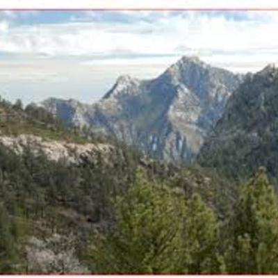 Timeline: Psicologia ambiental