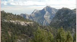 Timeline: Psicologia ambiental