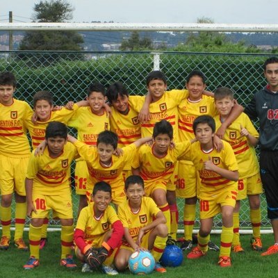 Timeline: FAVER CASTILLO