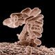 Organism