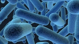 Timeline: Microbiology Throughout History