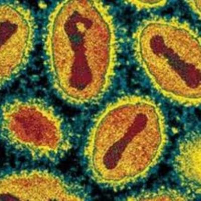 Timeline: History of Antibiotics