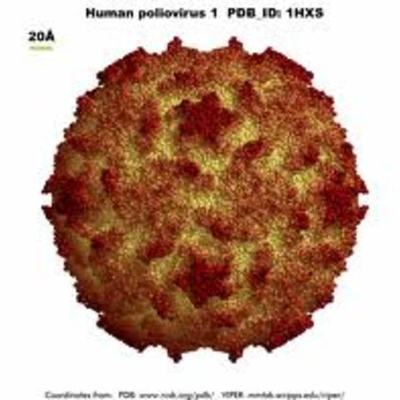 Timeline: Historical Background of Polio ( sited in: http://www.historyofvaccines.org/content/timelines/polio)