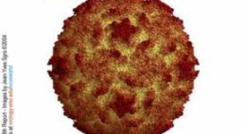 Timeline: Historical Background of Polio ( sited in: http://www.historyofvaccines.org/content/timelines/polio)