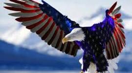 Timeline: United States History Class Timeline 2013 - 2014