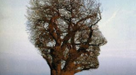 Timeline: Historia de la Psicología Ambiental