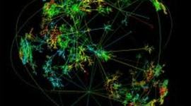 Timeline: An Abridged History of the Internet