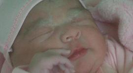 Timeline: ANDREA DE LUQUE'S BIO.