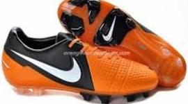 Timeline: Important Facts about Charles LaNasa