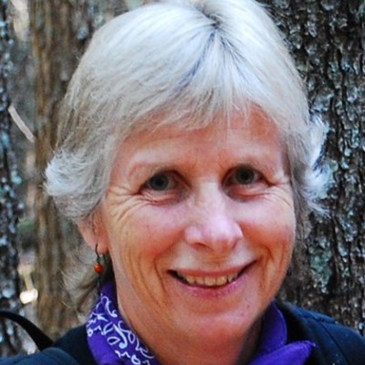 Timeline: Beanies for Babies