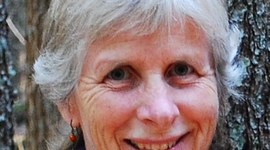 Timeline: Beanies for Babies