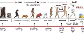 Timeline: Family Time Line