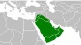 Timeline: de cid-imperi islàmic