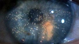 Timeline: The beginning of Cyberpunk