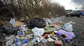 Timeline: environmental science