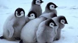 Timeline: Kaleigh's Timeline