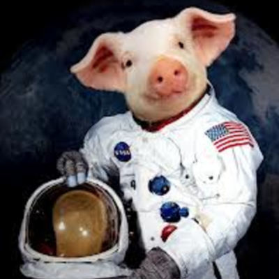 Timeline: Animals in Space