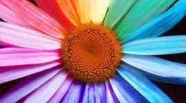 Timeline: Daisy Wood