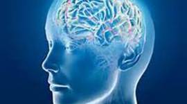 Timeline: History of Gifted of Education