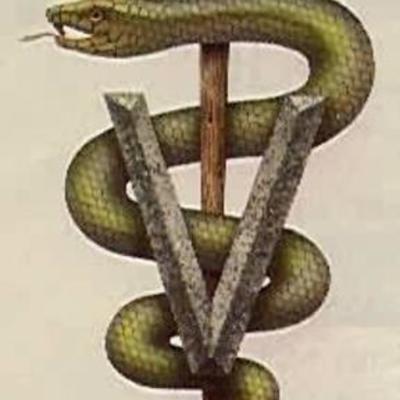 Timeline: HISTORIA DE LA MEDICINA VETERINARIA SIGLO XX-XXI