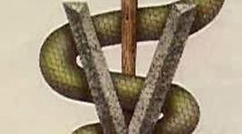 Timeline: HISTORIA DE LA MEDICINA VETERINARIA SIGLO XX-XXI