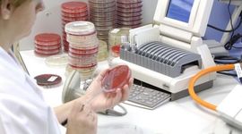 Timeline: bacteriologia