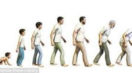 Timeline: The Seven Ages Of Man: by Ashley Vargo