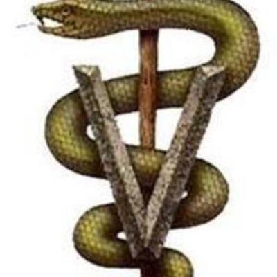 Timeline: Historia De la Medicina Veterinaria S.XX