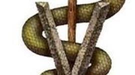 Timeline: Historia De la Medicina Veterinaria S.XX