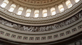 Timeline: PUAD625 (Shannon Huffman)