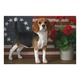 Patriotic beagle poster r88ae48bbd4c7448bb895c26e23202d55 wzl 8byvr 512