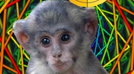 Timeline: Chapter 2,:)