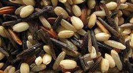 Timeline: History of Grains and Seeds