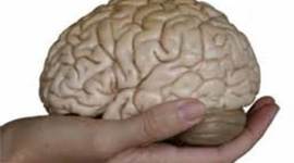 Timeline: History of Psychology