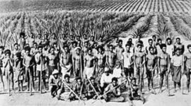 Timeline: History of South Sea Islanders in Australia
