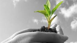 Timeline: Agriculture History