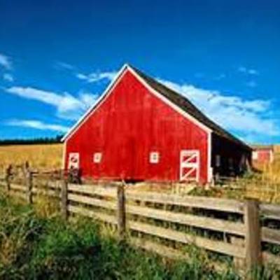 Timeline: Miranda's agg timeline