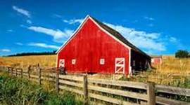 Timeline: Miranda's agg timeline