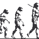 Evolution of man