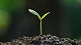 Timeline: Joshua Garcia's Financial Plan