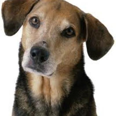 Timeline: Timeline of Cloud Computing by GCN Staff May 2013