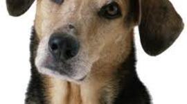 Timeline: Timeline of Cloud Computing by GCN Staff May 2013