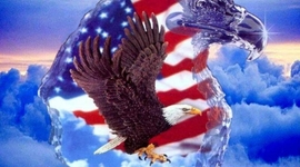 Timeline: McGee period 2