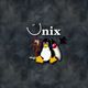 Normal linux unix