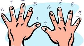 Timeline: Sistemas de numeración