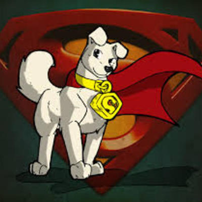 Timeline: United States History Class Timeline 2013-2014