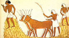 Timeline: Historia Antigua